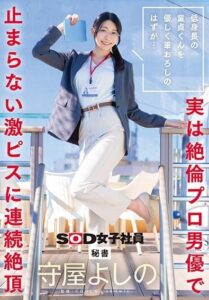 SDJS-317